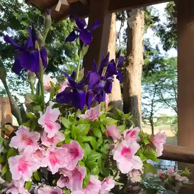 高司神社〜むすびの神の鎮まる社〜(福島県)
