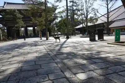 東大寺 法華堂(三月堂)のその他建物
