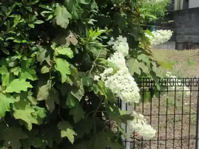 光安寺(神奈川県)