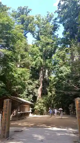 奥宮(鹿島神宮摂社)の建物その他