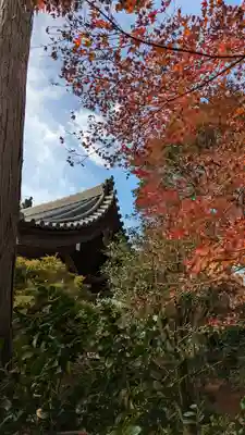 法金剛院(京都府)