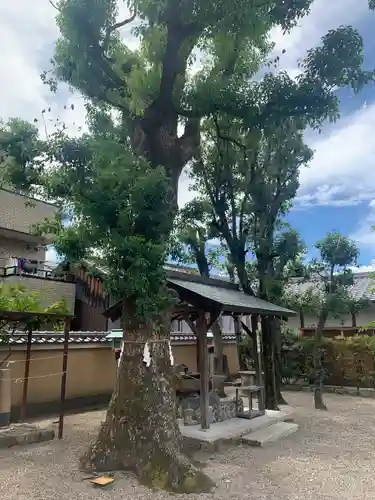 率川神社（大神神社摂社）(奈良県)