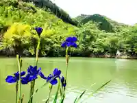 龍神ハナグリ石神社の自然