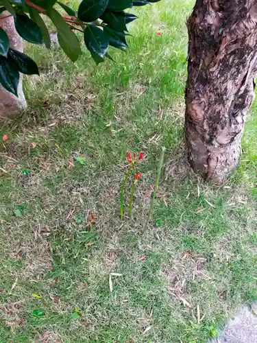 常念寺(和歌山県)