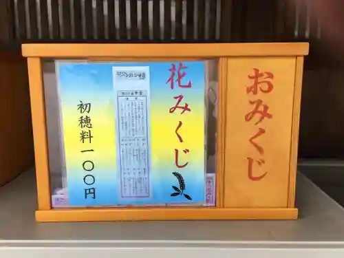 寒川神社のおみくじ