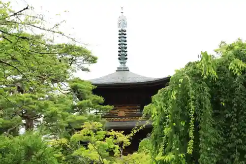 豪徳寺(東京都)