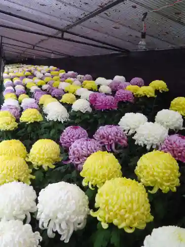 宗像大社の自然