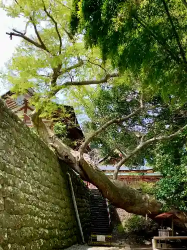 志波彦神社・鹽竈神社の{uncategorized: "未分類", other: "その他", undefined: "問題あり", building: "その他建物", grave: "お墓", sacred_gate: "鳥居", guardian: "狛犬", statue: "像", buddha: "仏像", history: "歴史", nature: "自然", garden: "庭園", animal: "動物", pagoda: "塔", temizu: "手水舎", mountain_gate: "山門・神門", sanctuary: "本殿・本堂", subordinate: "末社・摂社", art: "芸術", scenery: "景色", jizo: "地蔵", ema: "絵馬", goshuin: "御朱印", omikuji: "おみくじ", items: "授与品その他", amulet: "お守り", goshuincho: "御朱印帳", eats: "食事", festival: "お祭り", votive_dance: "神楽", shichigosan: "七五三参", wedding: "結婚式", experience: "体験その他", initially: "初詣", around: "周辺", anti_infection: "感染症対策"}