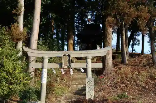 隠津島神社の末社