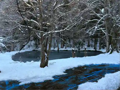 雲洞庵(新潟県)