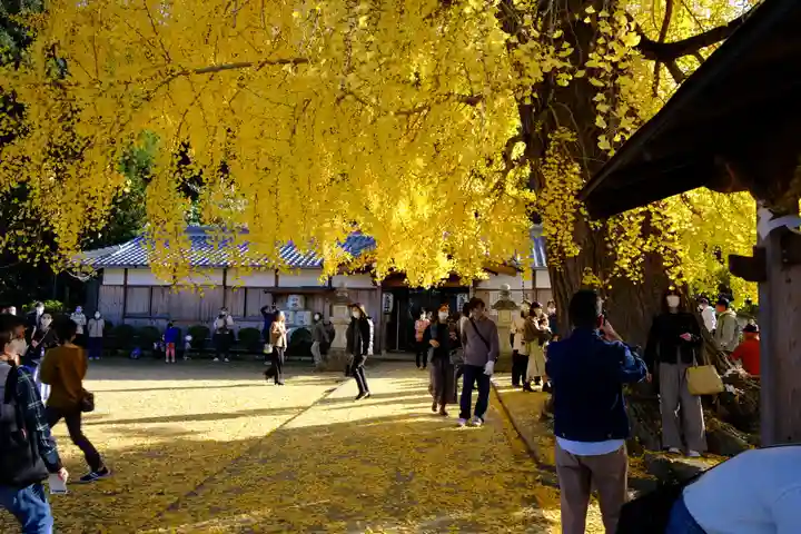 丹生酒殿神社(和歌山県)