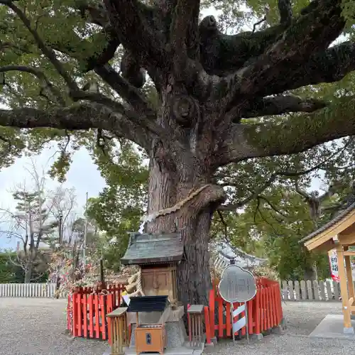 百舌鳥八幡宮(大阪府)