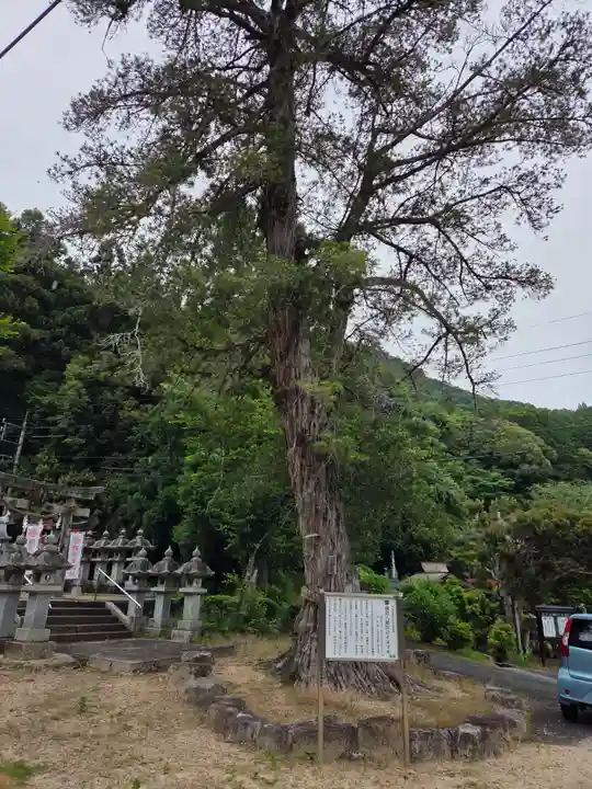 朝倉八幡宮(山口県)