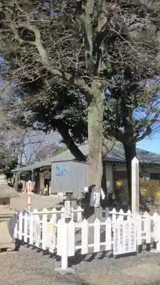 新曽氷川神社(埼玉県)