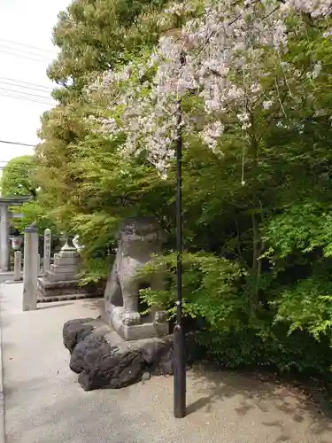 晴明神社の狛犬