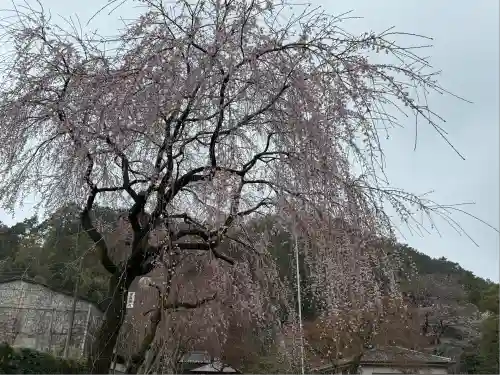 高麗神社(埼玉県)