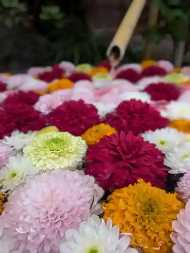 心行寺(東京都)