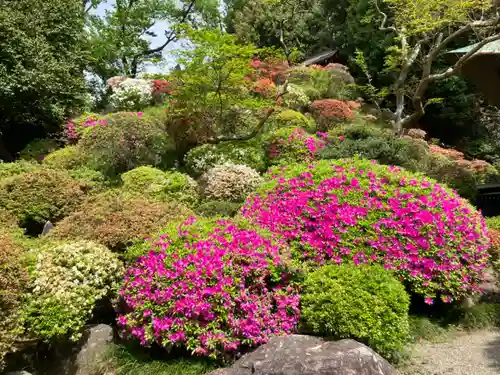 等覚院(神奈川県)