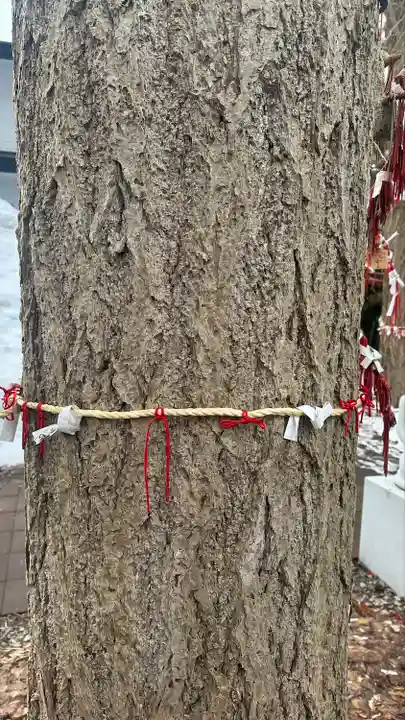 鹿角八坂神社(秋田県)