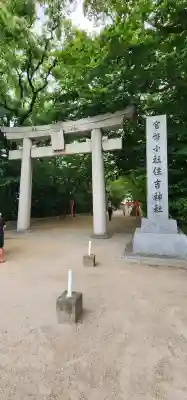 住吉神社の{uncategorized: "未分類", other: "その他", undefined: "問題あり", building: "その他建物", grave: "お墓", sacred_gate: "鳥居", guardian: "狛犬", statue: "像", buddha: "仏像", history: "歴史", nature: "自然", garden: "庭園", animal: "動物", pagoda: "塔", temizu: "手水舎", mountain_gate: "山門・神門", sanctuary: "本殿・本堂", subordinate: "末社・摂社", art: "芸術", scenery: "景色", jizo: "地蔵", ema: "絵馬", goshuin: "御朱印", omikuji: "おみくじ", items: "授与品その他", amulet: "お守り", goshuincho: "御朱印帳", eats: "食事", festival: "お祭り", votive_dance: "神楽", shichigosan: "七五三参", wedding: "結婚式", experience: "体験その他", initially: "初詣", around: "周辺", anti_infection: "感染症対策"}