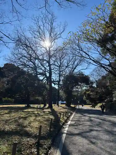 明治神宮(東京都)