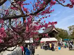 曽根天満宮の建物その他