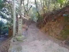 塙稲荷神社の自然