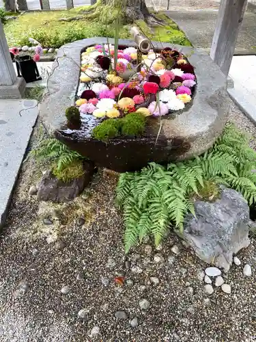 荘内神社の手水舎