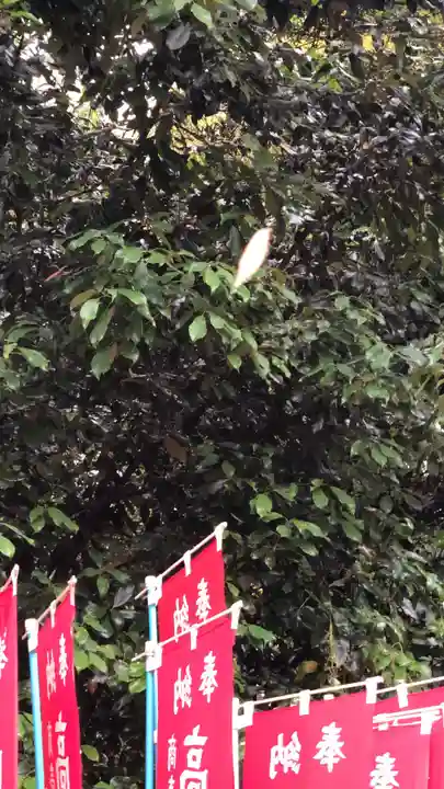 大和神社(奈良県)