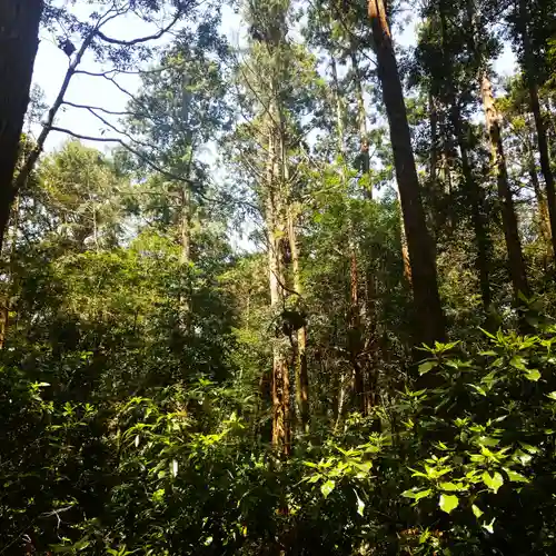鹿島神宮の自然