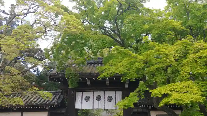 今宮神社の山門・神門