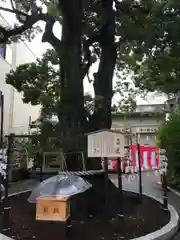 溝口神社の建物その他