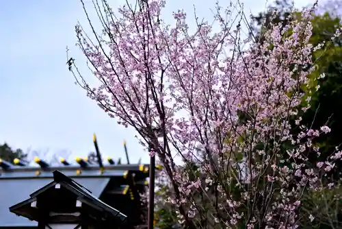 櫻木神社(千葉県)
