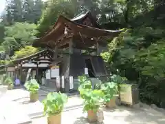 岡寺（龍蓋寺）(奈良県)