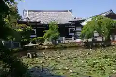 圓照寺の本殿