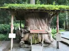 小國神社の自然