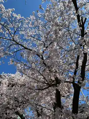正麟寺(長野県)