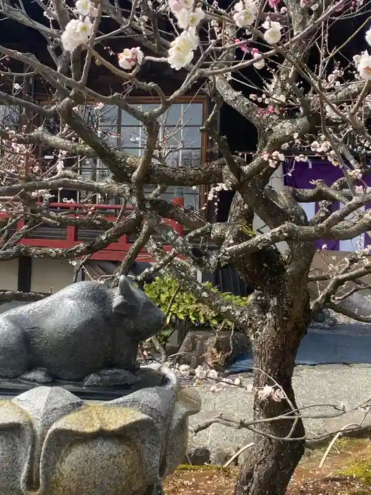 岩津天満宮(愛知県)