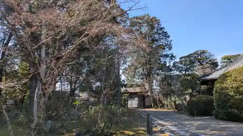 法界寺(日野薬師)(京都府)