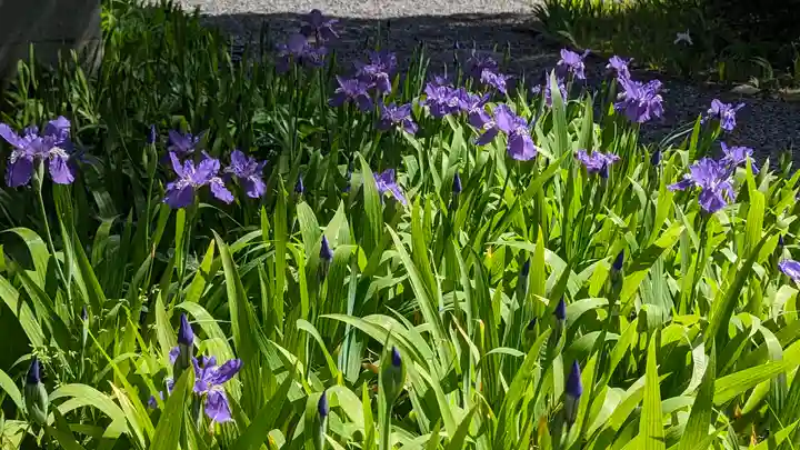 得浄明院(善光寺別院)(京都府)