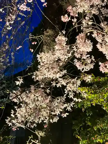 阿佐ヶ谷神明宮の自然