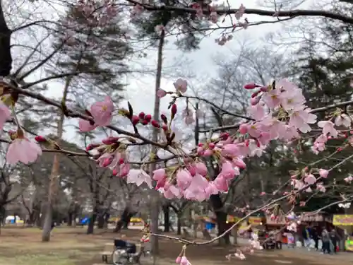 武蔵一宮氷川神社(埼玉県)