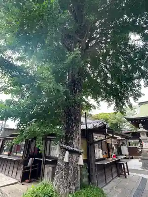 菊田神社(千葉県)