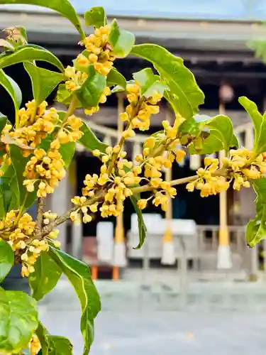 仙台八坂神社(宮城県)