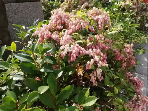 蛇窪神社の自然