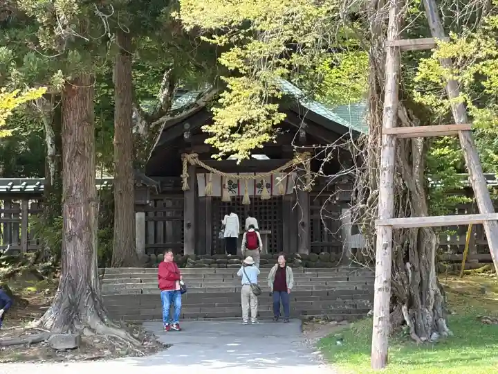 諏訪大社上社前宮の{uncategorized: "未分類", other: "その他", undefined: "問題あり", building: "その他建物", grave: "お墓", sacred_gate: "鳥居", guardian: "狛犬", statue: "像", buddha: "仏像", history: "歴史", nature: "自然", garden: "庭園", animal: "動物", pagoda: "塔", temizu: "手水舎", mountain_gate: "山門・神門", sanctuary: "本殿・本堂", subordinate: "末社・摂社", art: "芸術", scenery: "景色", jizo: "地蔵", ema: "絵馬", goshuin: "御朱印", omikuji: "おみくじ", items: "授与品その他", amulet: "お守り", goshuincho: "御朱印帳", eats: "食事", festival: "お祭り", votive_dance: "神楽", shichigosan: "七五三参", wedding: "結婚式", experience: "体験その他", initially: "初詣", around: "周辺", anti_infection: "感染症対策"}