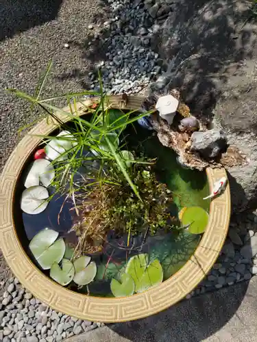 普賢寺の手水