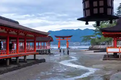 厳島神社(広島県)