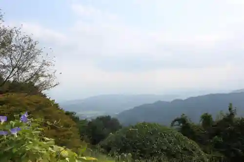宝登山神社(埼玉県)