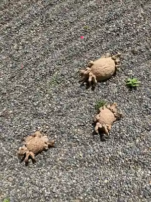 八浄寺(兵庫県)